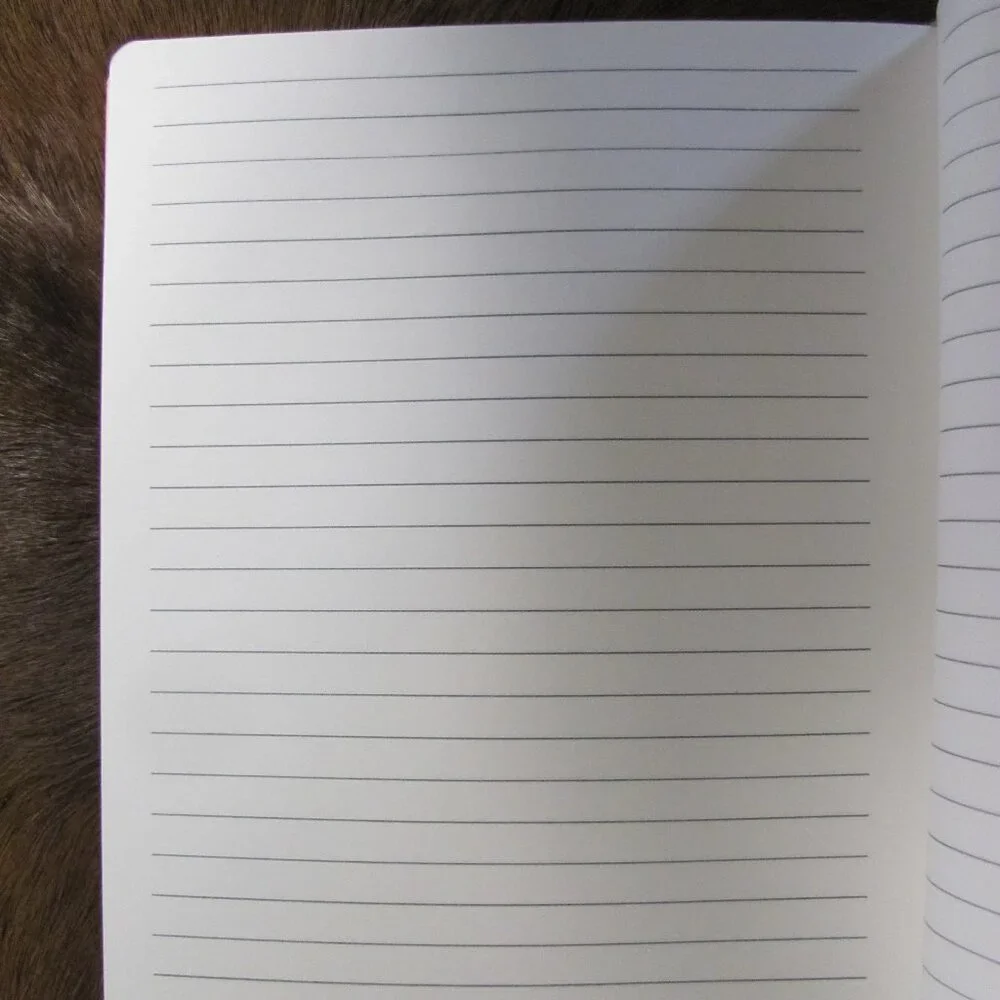 THRESHOLD STAY PAWSITIVE BLANK JOURNALS NWT